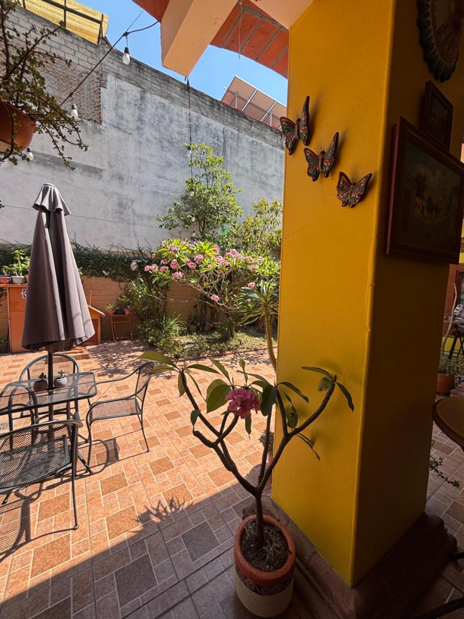 Hotel Posada "Mi Rosita" Oaxaca Esterno foto